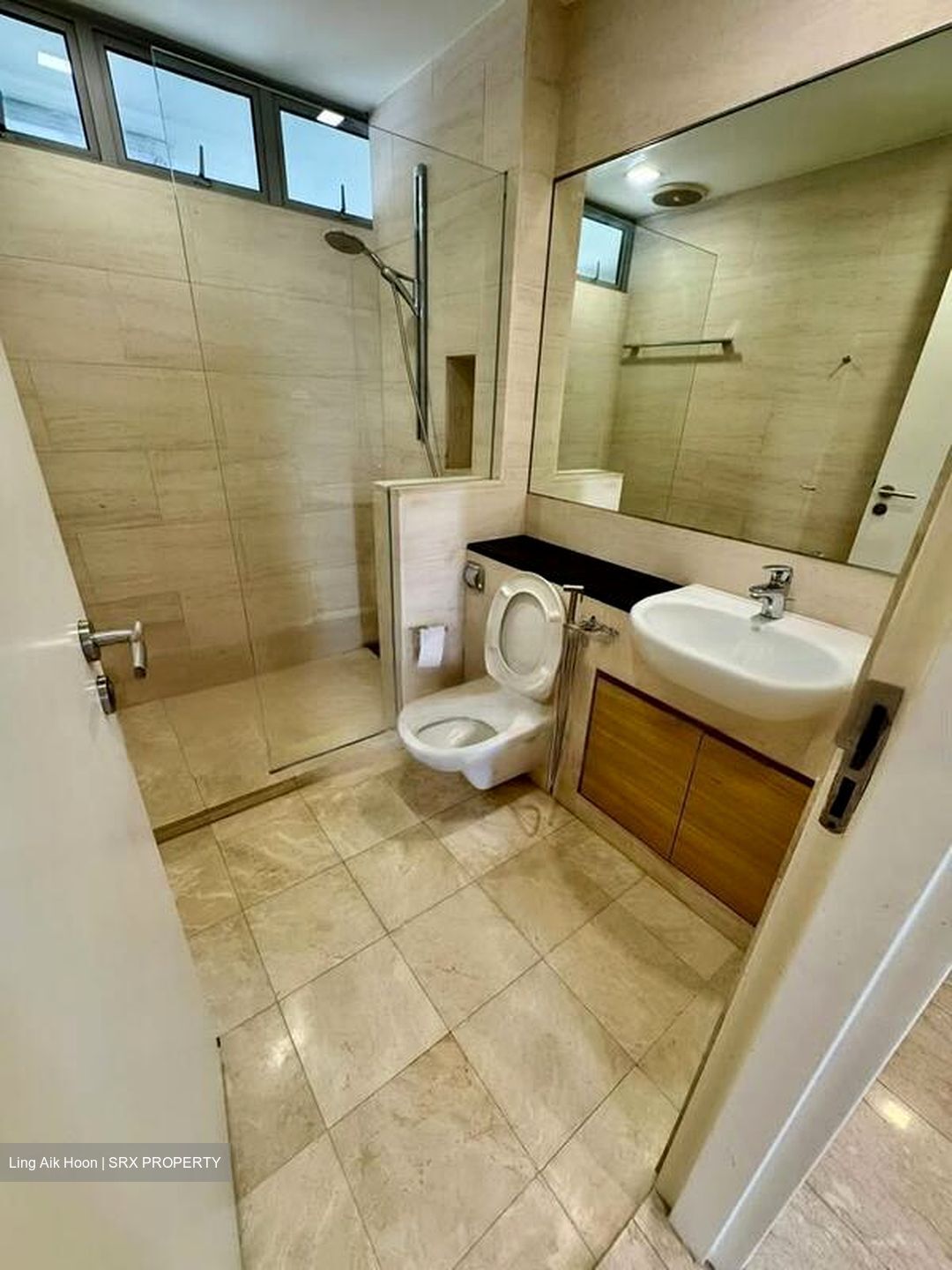 The Trumps (D14), Condominium #475474841